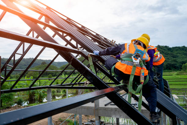 Best Best Roofing Contractors  in Franklin Park, FL