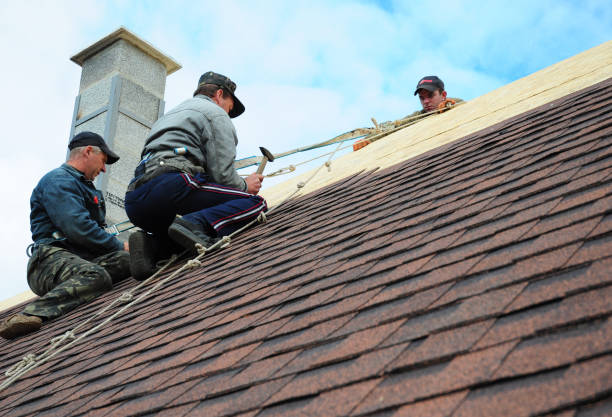 Residential Roof Replacement in Franklin Park, FL